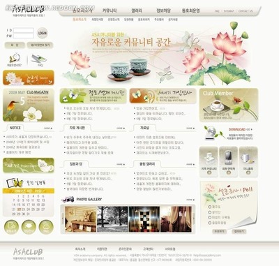 韓國(guó)ASA俱樂(lè)部網(wǎng)站PSD模版 打造動(dòng)感活力的專業(yè)網(wǎng)頁(yè)與網(wǎng)站設(shè)計(jì)